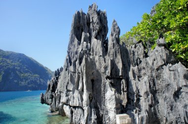 Sahildeki keskin mercan resifleri. Palawan Adası. Filipinler.