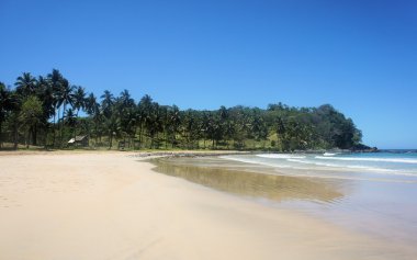 Güzel plaj beyaz kum, deniz ve ağaçlar. Filipinler.
