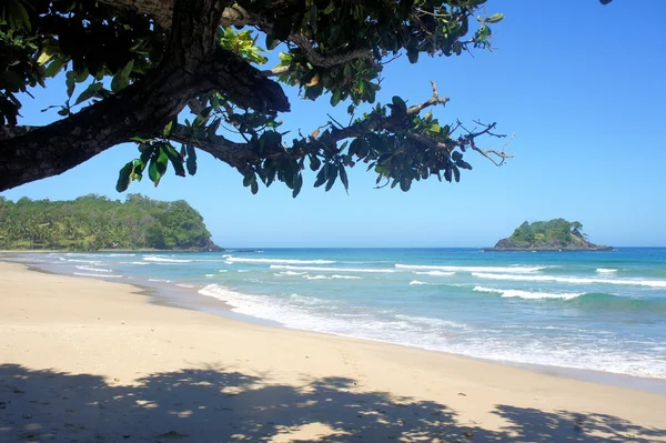 A bela praia de areia branca, o mar e as árvores. Filipinas . — Fotografia de Stock