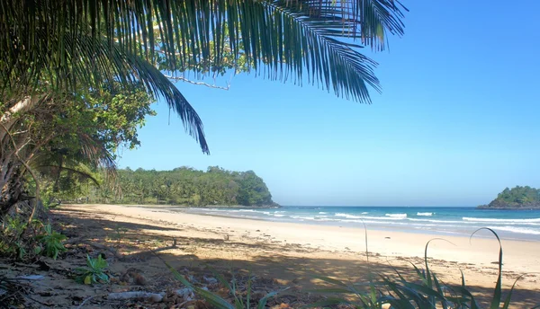 Der schöne Strand mit weißem Sand, das Meer und die Bäume. Philippinen. — Stockfoto