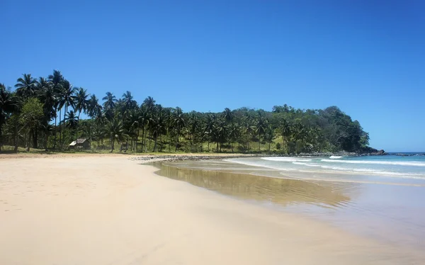 La hermosa playa de arena blanca, el mar y los árboles. Filipinas . —  Fotos de Stock