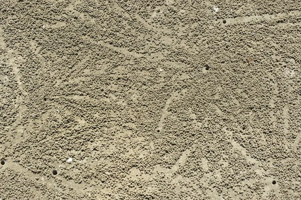 Du sable humide à la plage et de la mousse d'eau. Contexte . — Photo