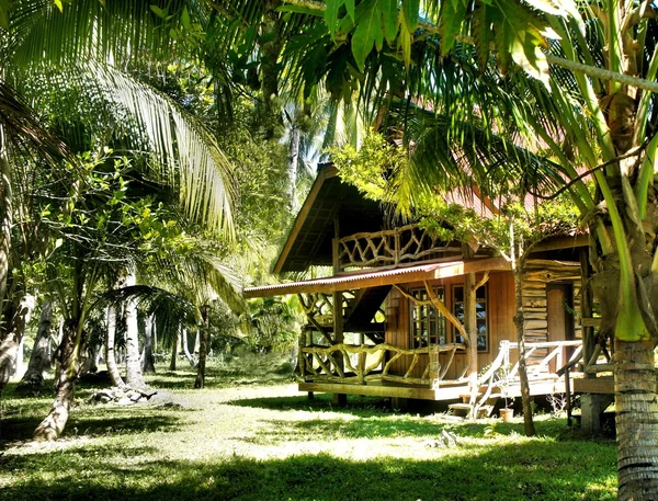 Дом на дереве в джунглях. Остров Палаван. Филиппины . — стоковое фото