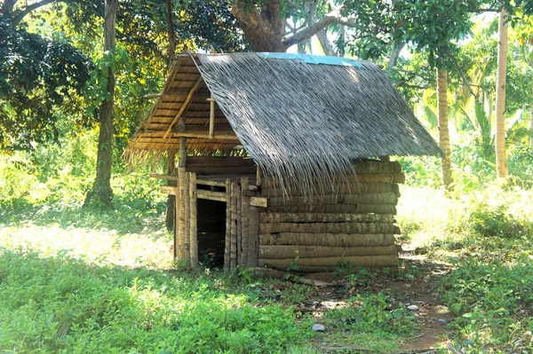 Boomhuis in de jungle. Palawan Island. Filippijnen. — Stockfoto