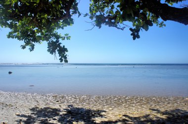 Güzel plaj beyaz kum, deniz ve ağaçlar. Filipinler.