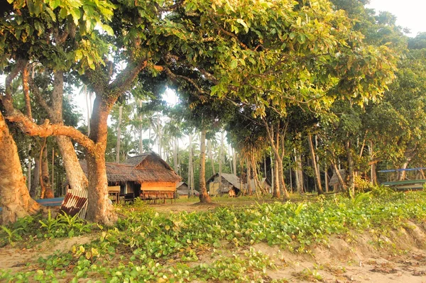 Casa del árbol en la selva. Isla Palawan. Filipinas . —  Fotos de Stock