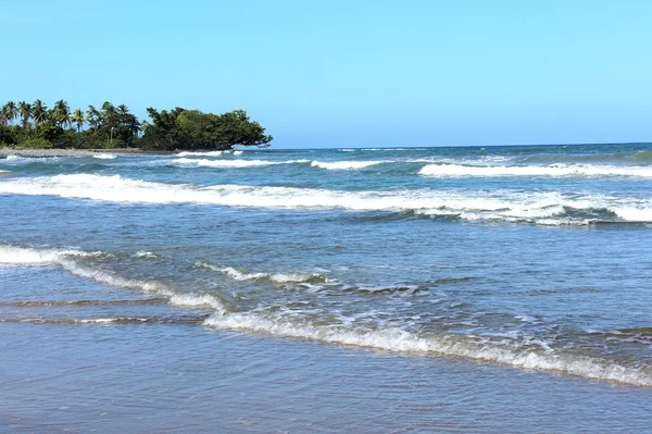 Dalgalar ve deniz köpüğü. Filipinler.