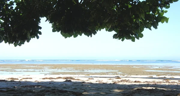 Güzel plaj beyaz kum, deniz ve ağaçlar. Filipinler