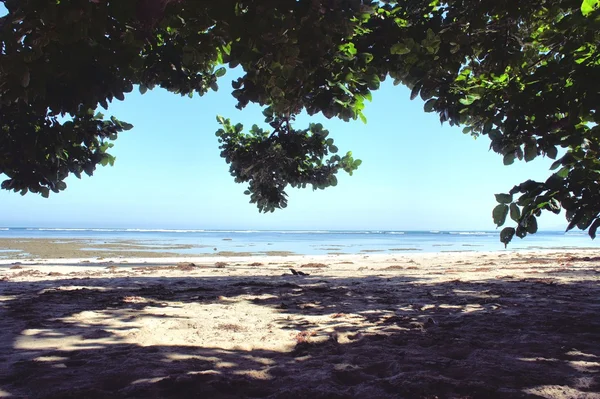 Η όμορφη παραλία της λευκής άμμου, η θάλασσα και δέντρα. Φιλιππίνες — Φωτογραφία Αρχείου