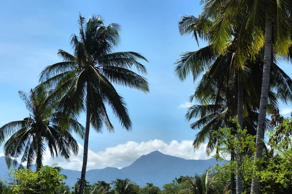 Ön palawan panorama. ett landskap. ett foto i naturen. — Stockfoto