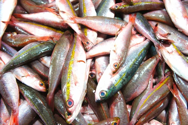 Fish for sale in the public market. Philippines. Palawan Island. — Stock Photo, Image