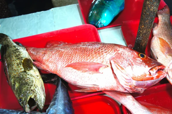 Kleurrijke vissen te koop in de openbare markt. — Stockfoto