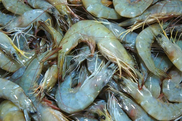 Karides çarşıda satılık. Filipinler.