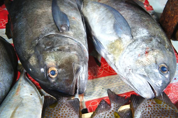 Kleurrijke vissen te koop in de openbare markt. — Stockfoto