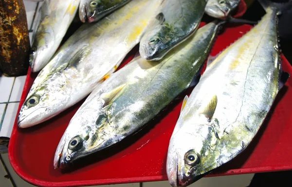 Kleurrijke vissen te koop in de openbare markt. — Stockfoto