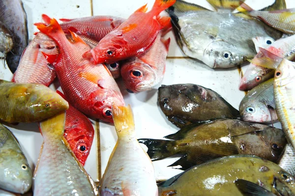 Colorful fish for sale in the public market. — Stock Photo, Image