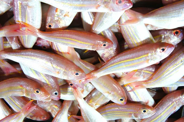 Colorful fish for sale in the public market. — Stock Photo, Image