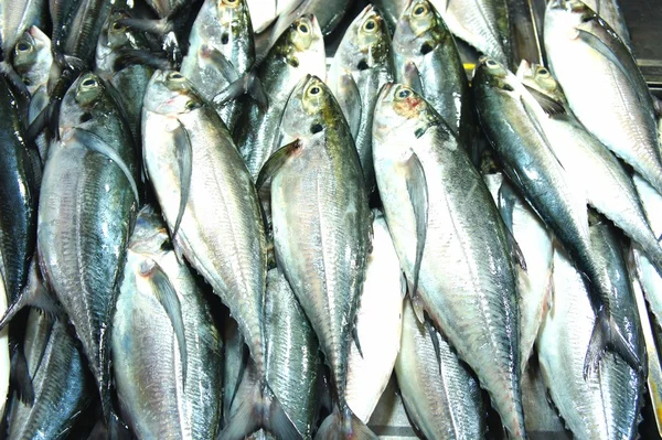 五颜六色的鱼儿，在公开市场出售. — 图库照片