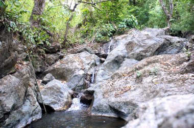 Vahşi ormanda küçük bir şelale. Filipinler. Palawan Adası .