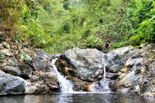 Une petite cascade dans la jungle sauvage. Philippines. Île de Palawan  . — Photo