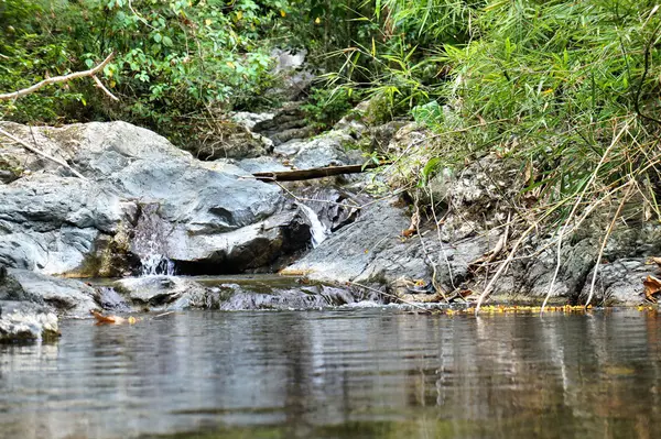 Ein kleiner Wasserfall im wilden Dschungel. Philippinen. Palawan-Insel . — Stockfoto