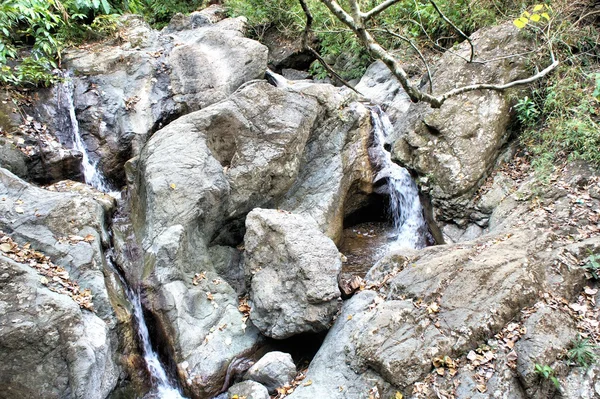 Vahşi ormanda küçük bir şelale. Filipinler. Palawan Adası .