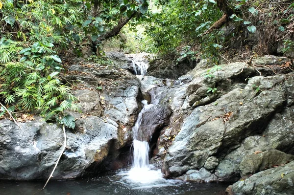 Una pequeña cascada en la selva salvaje. Filipinas. Isla de Palawan  . —  Fotos de Stock