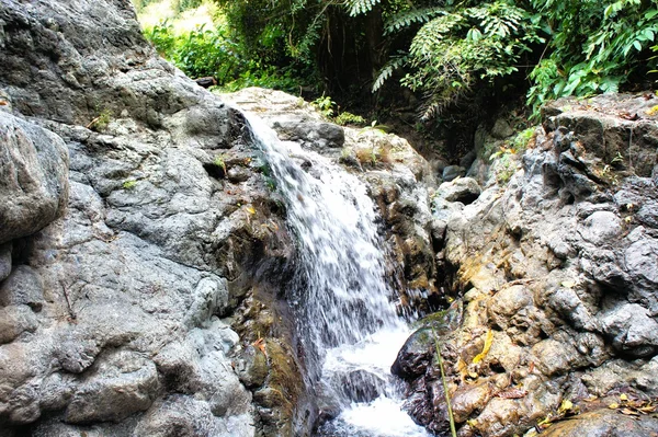Uma pequena cachoeira na selva selvagem. Filipinas. Ilha Palawan — Fotografia de Stock