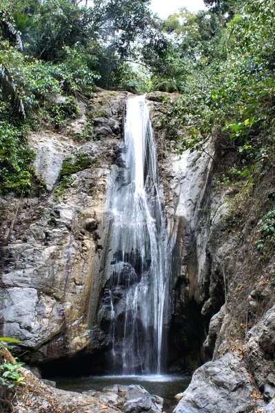 Una pequeña cascada en la selva salvaje. Filipinas. Isla de Palawan —  Fotos de Stock