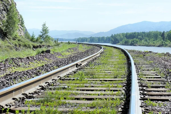 Ferrocarriles y traviesas. El viejo ferrocarril a través del bosque. Siberia . — Foto de Stock