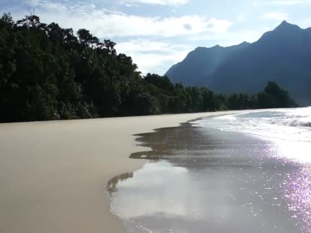 Wandeling op het strand Is erg mooi. Palawan Island. — Stockvideo