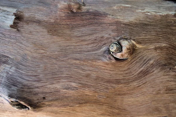 La superficie de un árbol viejo. Madera sin corteza. Contexto . — Foto de Stock
