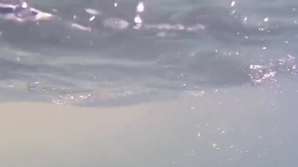 Malé čisté vodopád. Pod vodou. Tropické. pozadí. — Stock video