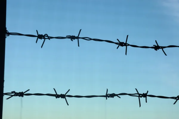 Barbed wire and blue sky. Abstraction. Background. — Stock Photo, Image