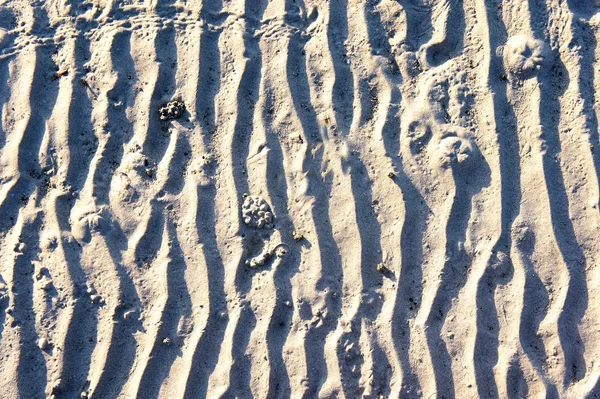 Traces of the waves on the white sand. Black and white. Background. — Stock Photo, Image