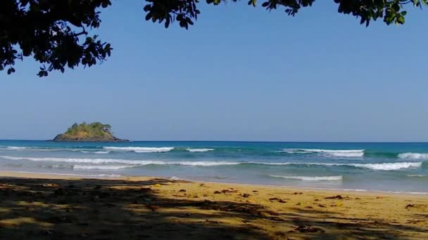 Κοραλλιογενή άμμο. Τροπική παραλία. Φιλιππίνες. — Αρχείο Βίντεο