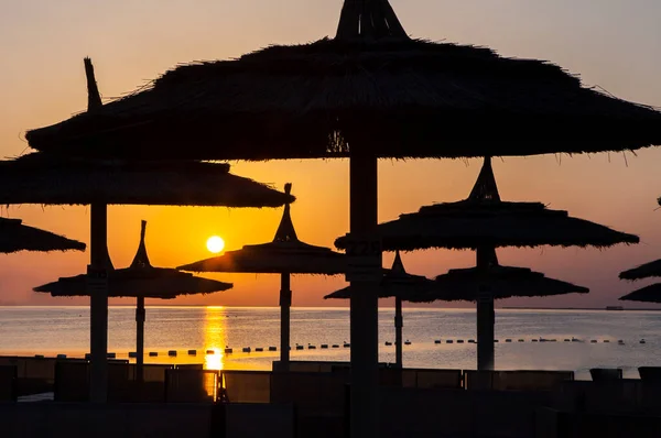 Traveling for refreshing mind to the Hurghada, Egypt. Watch Sunrise at the sea Beach. In 2020. Silhouette of straw umbrellas.
