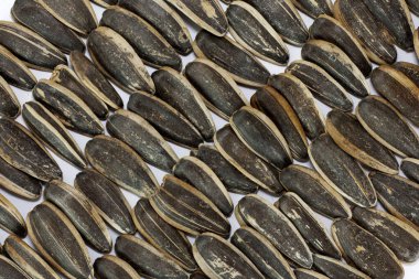 Close-up image of natural sunflower seeds scattered on a clean white background. The high-resolution photo highlights the texture, shape, and color of the seeds in detail. Ideal for packaging design, food labels, agricultural websites, and sunflower 