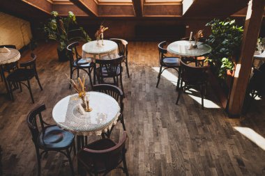 Lviv, Ukrayna. 01.11.2025. Çikolata Atölyesi Kafe, ahşap zemin, dantel kaplı yuvarlak masalar, doğal güneş ışığı ve davetkar atmosfer yaratan yeşil bitkiler.