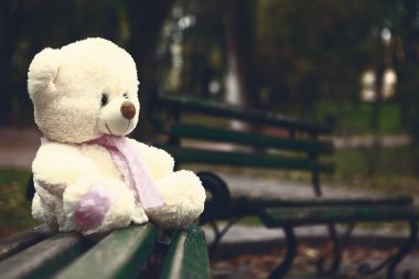 Yumuşak, pelüş bir oyuncak ayı, yeşil ile çevrili bir parkta tek başına oturur. Nazik, nostaljik ve iç açıcı bir açık hava sahnesi yaratır..