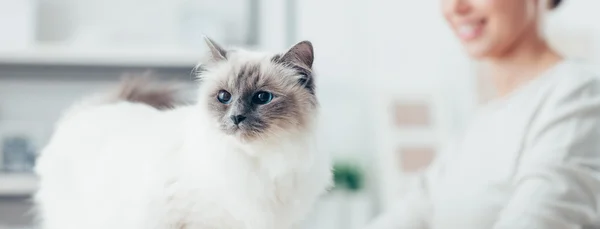 Mulher e seu lindo gato posando — Fotografia de Stock