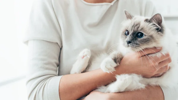 Donna che tiene il gatto — Foto Stock