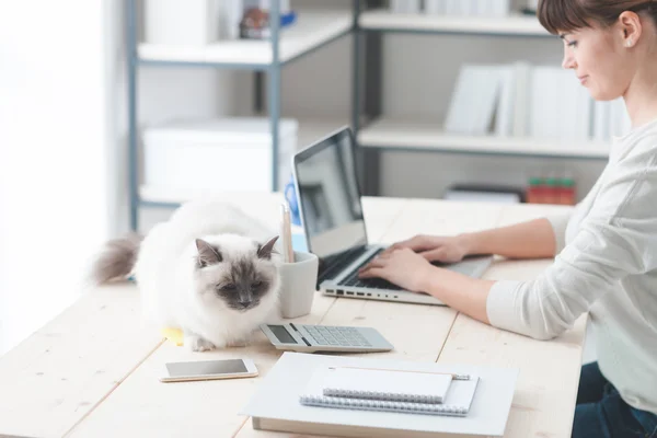 Woman working at desk with her cat — Stock Photo, Image