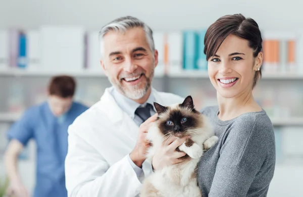 Médico está examinando o animal de estimação — Fotografia de Stock