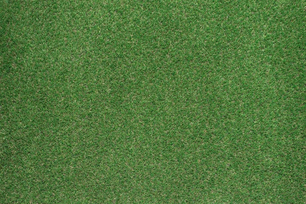 Gröna frodiga gräset — Stockfoto