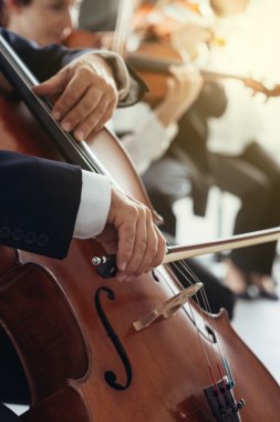 Çello oyuncunun el yakın çekim