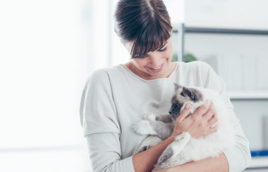 Onu kedi ile evde beslenen hayvan sahip