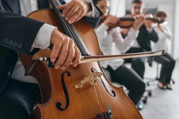 As mãos do jogador de violoncelo profissional fechar — Fotografia de Stock