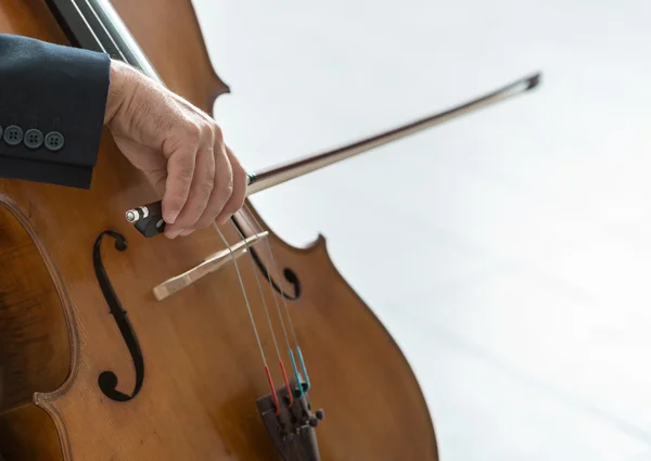 Pemain cello profesional memainkan alat musiknya — Stok Foto