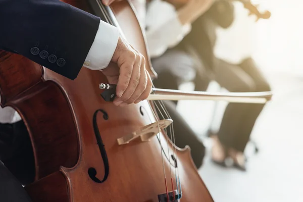 Cello player's hands close up — Stock Photo, Image
